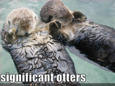Otter