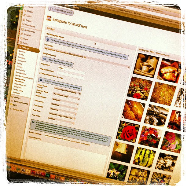 Playing with Instagram: WordPressing my Instagram