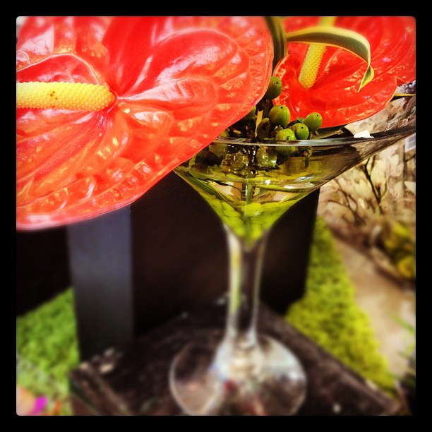 Playing with Instagram: My cellphone sees innovative arrangements at the Floral Studio