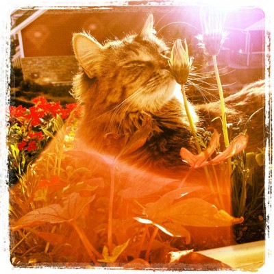 c5b505eabc1311e1a8761231381b4856_7