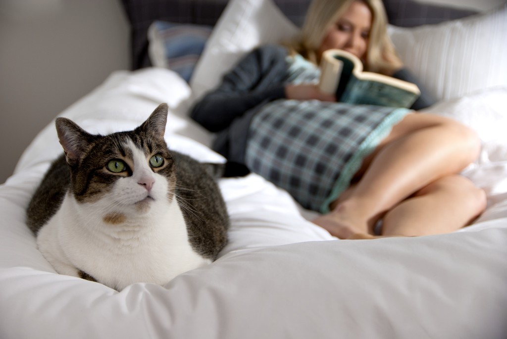 PedroMigennestheLion