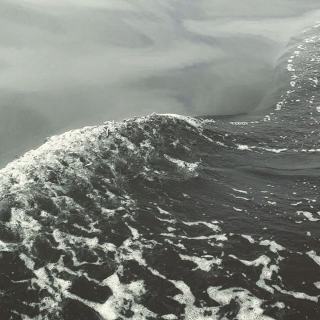 Why do we search so hard to discover beauty and serenity? #rightinfrontofourfaces