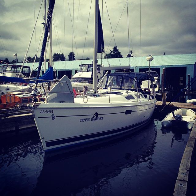 Back in the water where she belongs!