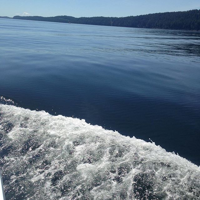 No sailing today. ?? The water is like glass. #GulfIslands