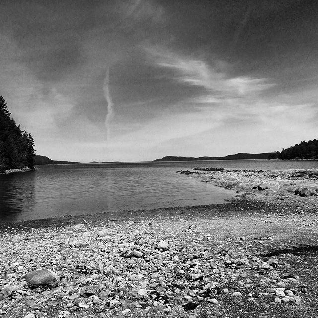 I LOVE low tide. Crabs, starfish, nudibranchs and more