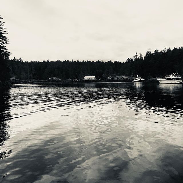 A little dull and grey this am, but it makes for some great b&w shots ? #sunshinecoast #smugglercove #cruisingPNW #beautifulBC