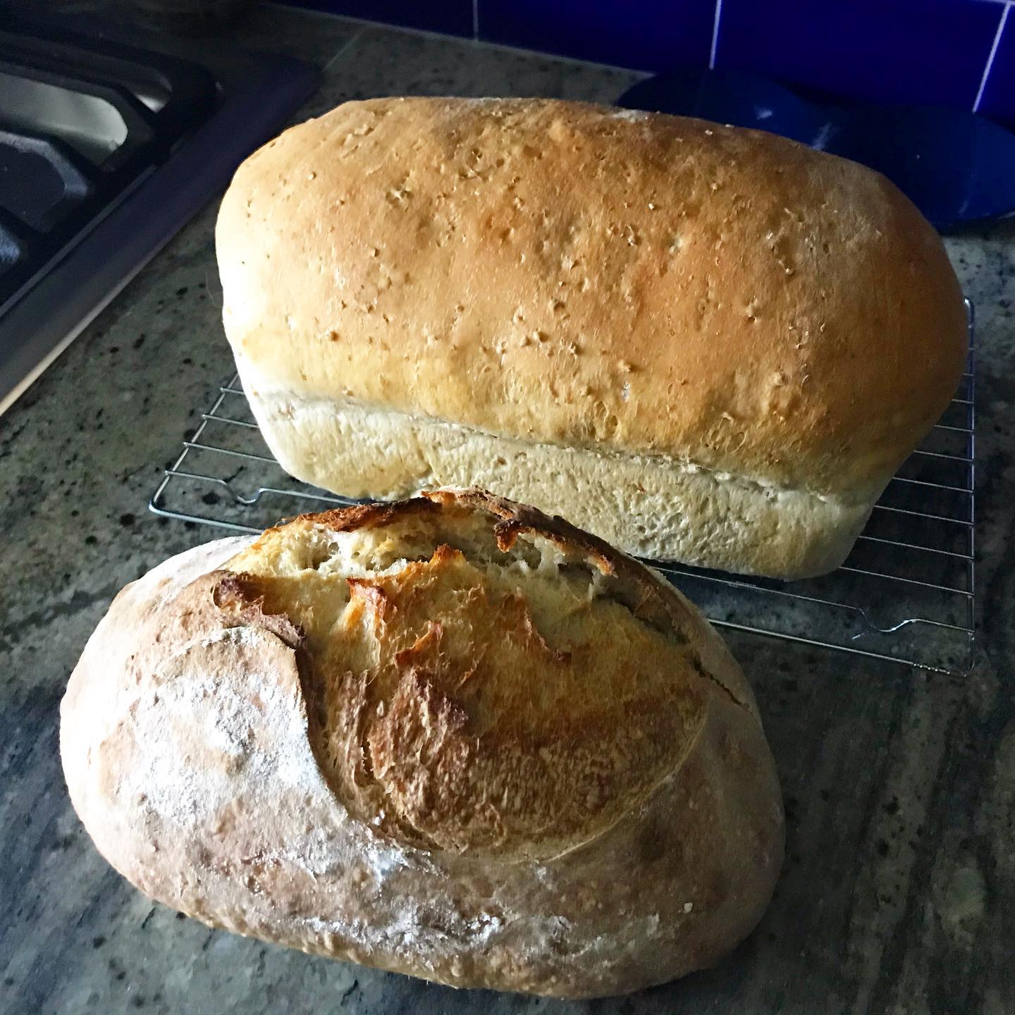 Yes, I do think I’m weird for baking in the hottest day of the year. But I was breadless!#sourdough #crackedwheat #29°C #breadbaking